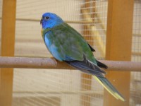 /album/fotogalerie-fotogalerie/a13-10-2012-007-jpg/